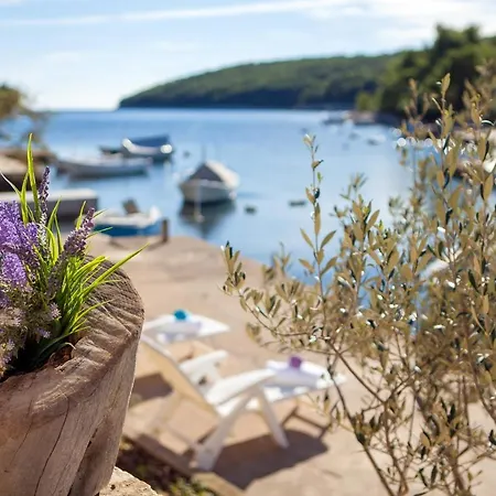 Seaside House With A Swimming Pool Cove Tri Luke, Korcula - 2199 Сasa de vacaciones *